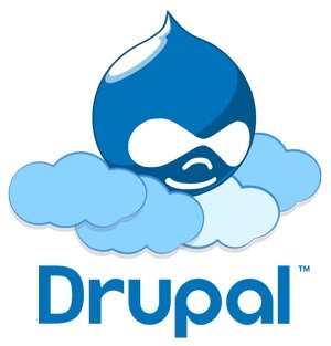 Wybór hostingu VPS dla witryny Drupal